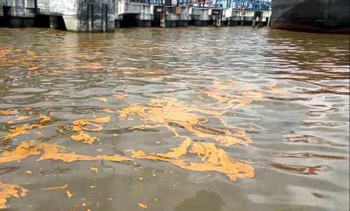 CPO Milik PT. Naga Mas Tumpah dan Mencemari Laut di Dumai